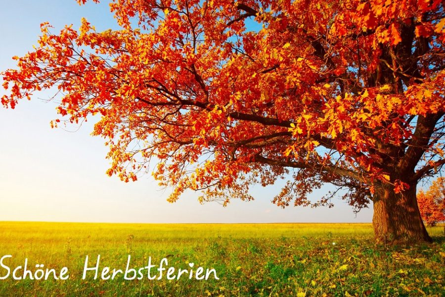 Herbstferien in NRW › SPD Bornheim NRW